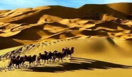 最新沙漠爆料,探寻未知的神秘世界